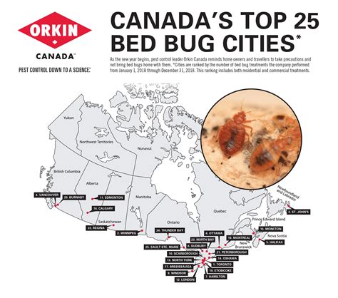Quit bugging me: Toronto again ranked worst city in Canada for bed bugs
